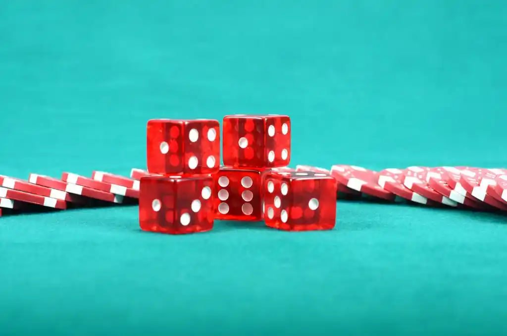 Pengguna membaca syarat bonus harian dengan cermat